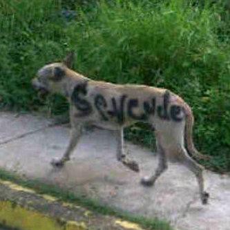 Mercadotecnia Ambulante