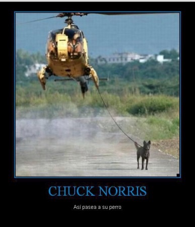 Claro,¿Quien Mas Puede Ser Tan Cool Como Chuck?